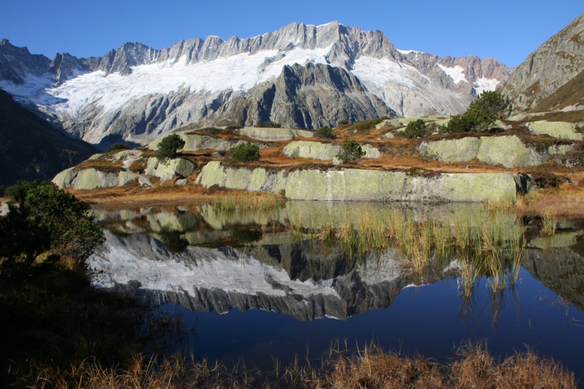 Foto Dammegletscher IMG 5485